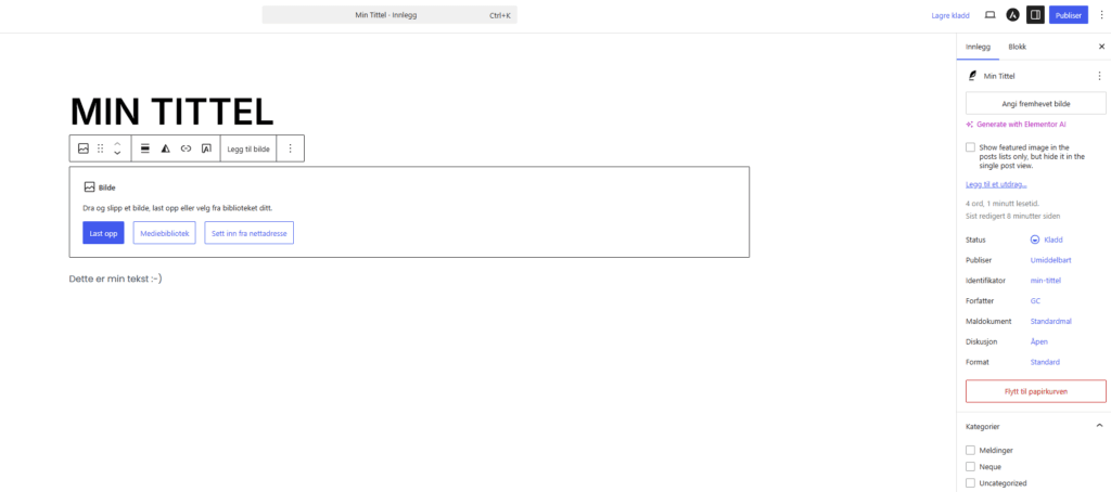 Velge kategori for innlegg i WordPress.